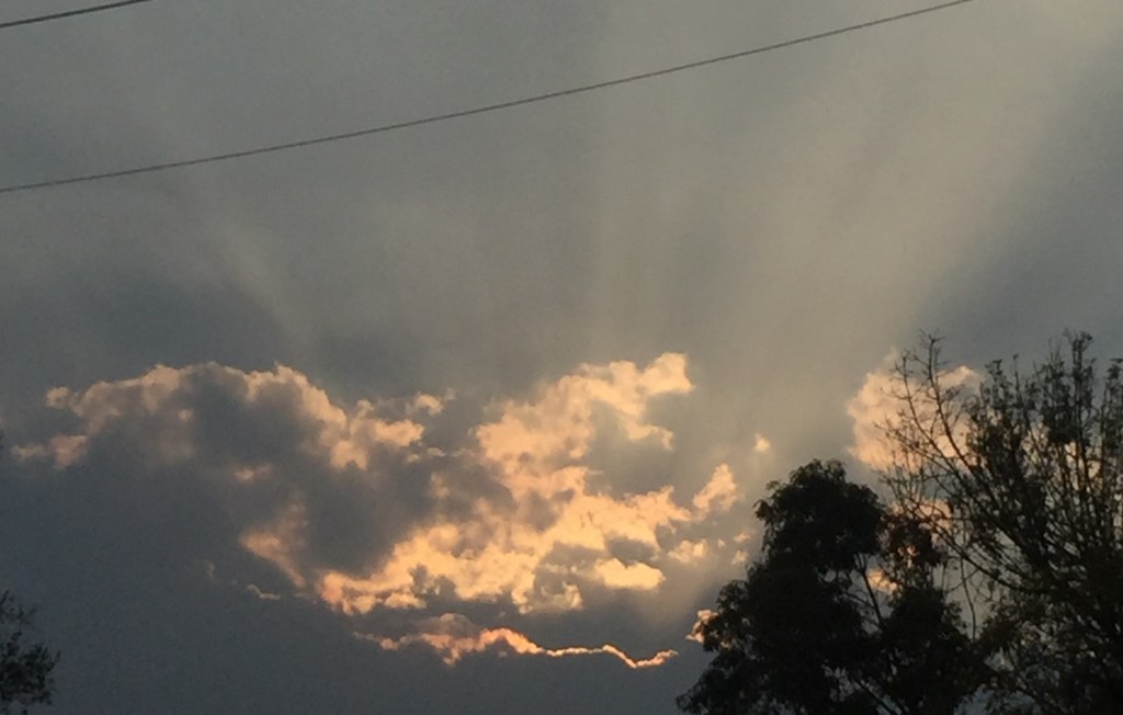 MESERA DE UN&nbsp;CAFÉ