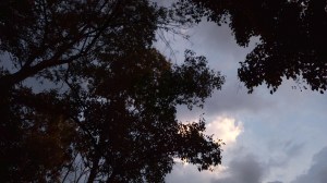 DOS MUJERES Y UN HOMBRE