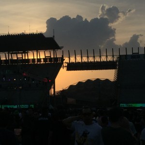 EL MUNDO ES UN VAMPIRO