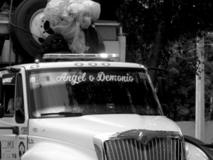 parque de los venados