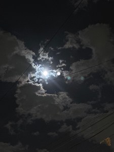 SIGUIENDO LA LUNA