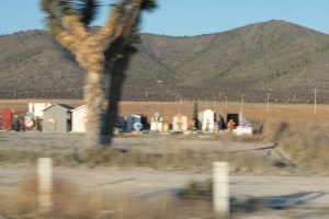 DELIRAR LA INMENSIDAD