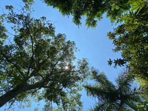 EL ÚLTIMO CIGARRILO