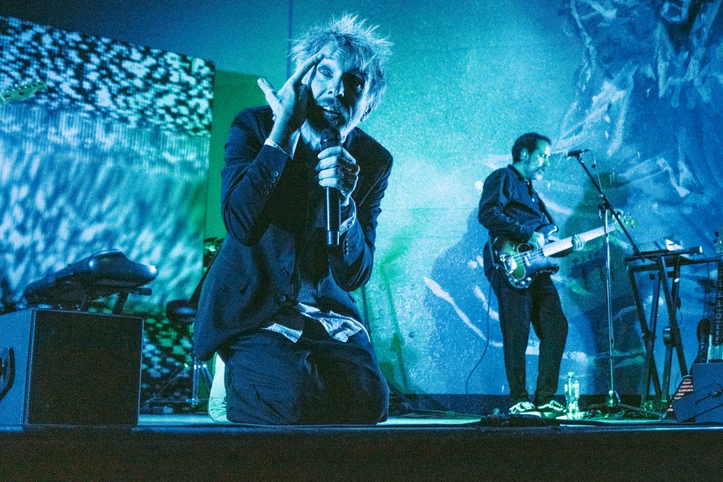 LA CASA DE LOS ELEFANTES CON VANS