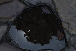 ESPECIALES DE HORROR | NEGARSE