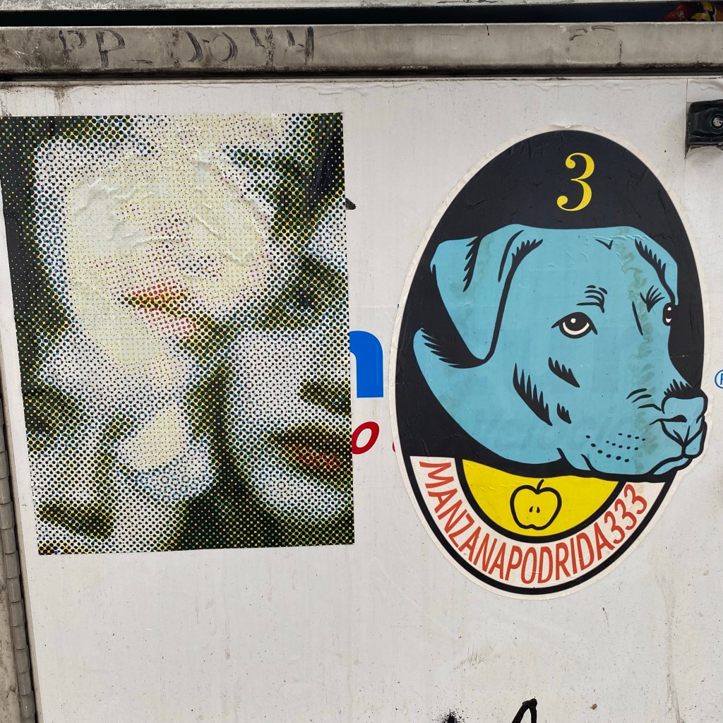 ESPECIALES DE HORROR | MEMES