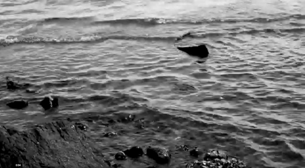 MUERTE A LA&nbsp;RUTINA