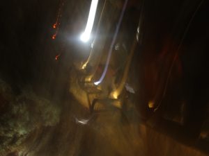 DESAPARECERSE EN UNA NOCHE&nbsp;CANALLITA