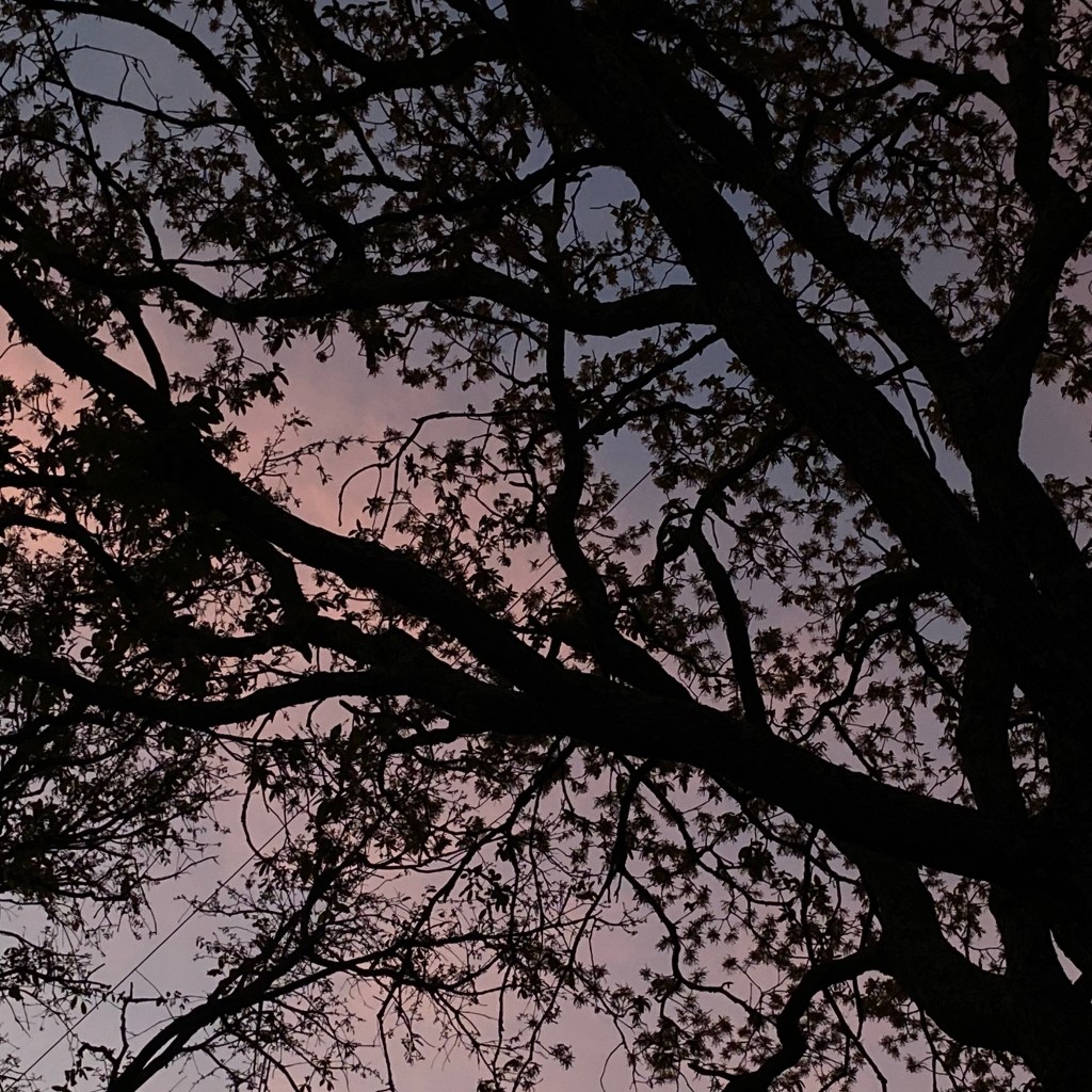 MUJER VESTIDA DE BLANCO, SENTADA EN EL PARQUE, ESCUCHANDO&nbsp;MÚSICA
