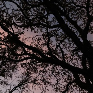 MUJER VESTIDA DE BLANCO, SENTADA EN EL PARQUE, ESCUCHANDO&nbsp;MÚSICA