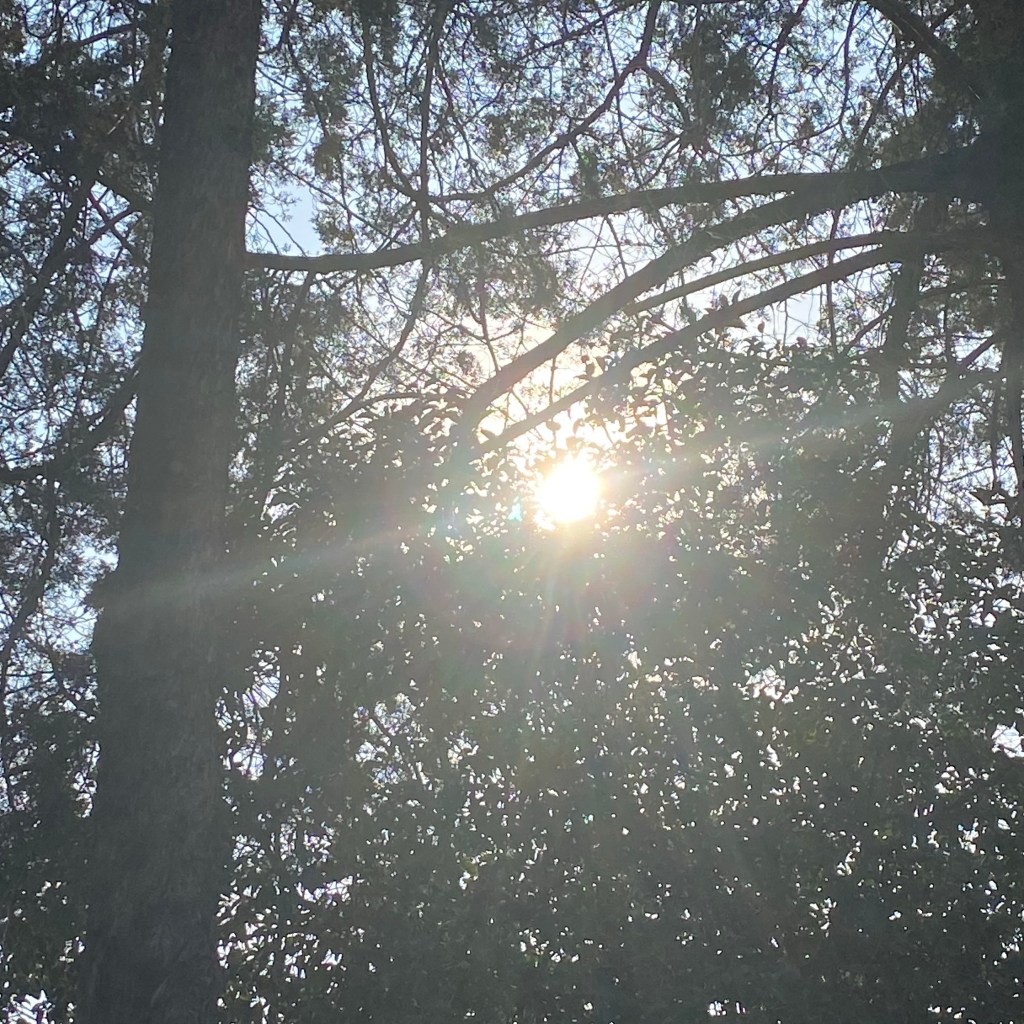 SEÑOR CAMINA POR UNA CALLE CARGANDO UN&nbsp;BULTO
