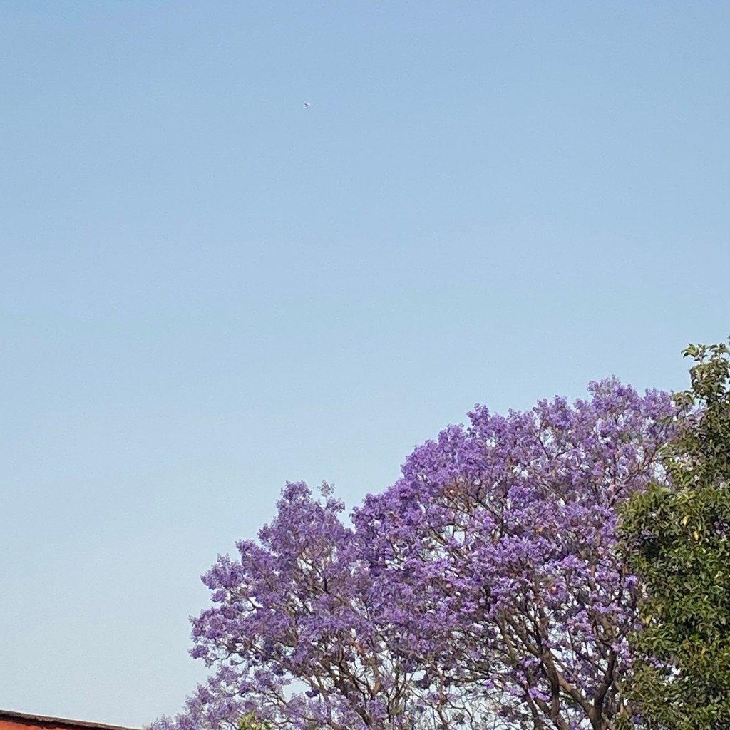 MADRE E HIJO SENTADOS EN UNA FUENTE DE&nbsp;INSURGENTES