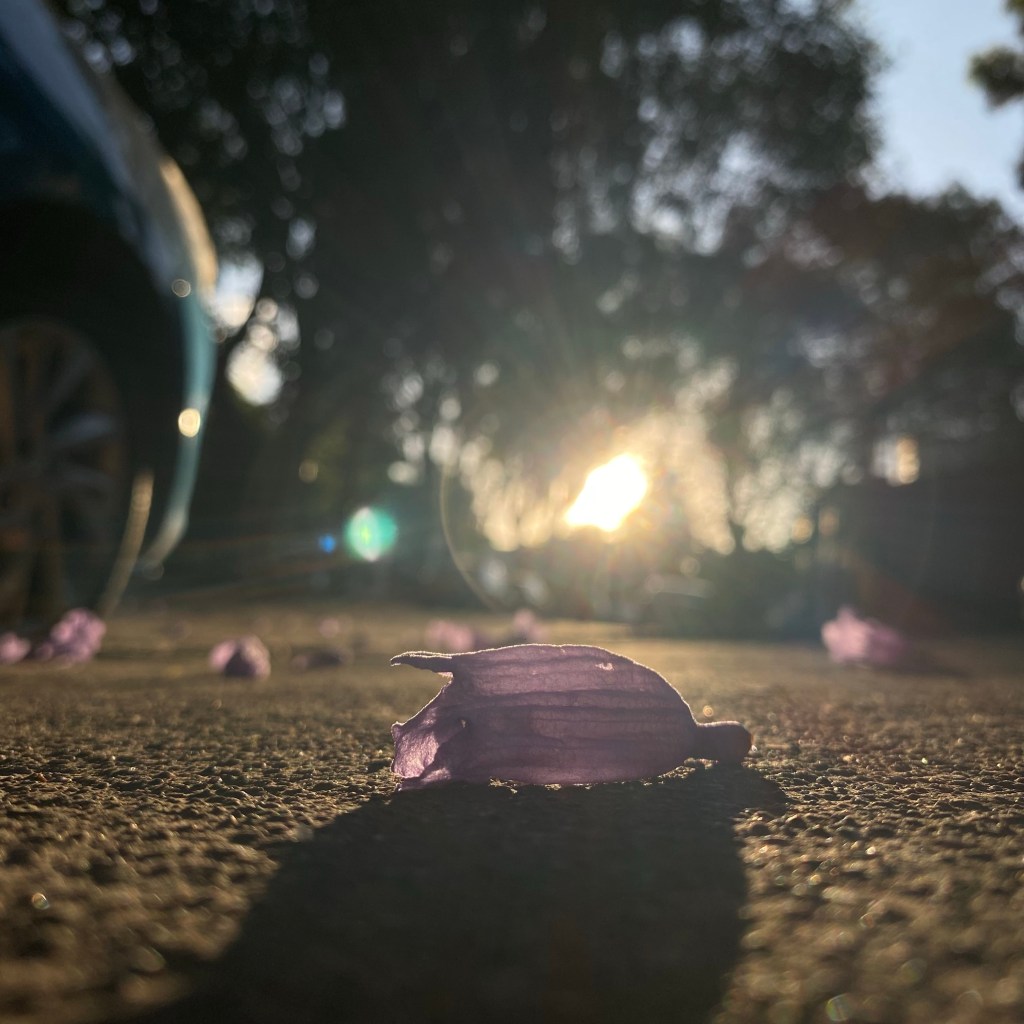 TOPER CON TAPA VERDE, PAPEL ESTRAZA Y UN SEÑOR DE UNIFORME&nbsp;ANARANJADO