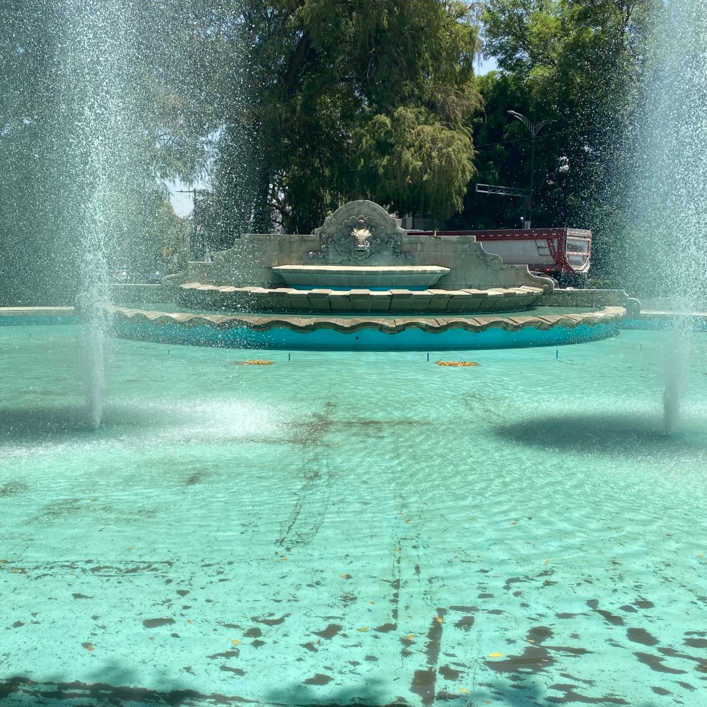 EL HOMBRE DE LOS PASOS LENTOS Y LAS IDEAS&nbsp;REVUELTAS