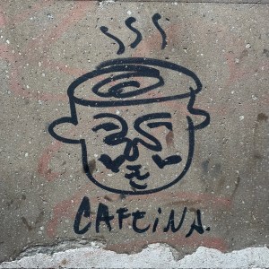 VARIEDADES DEL ANDAR