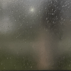 UNA MUJER EN LA CIUDAD MORDIENDO UN&nbsp;ELOTE
