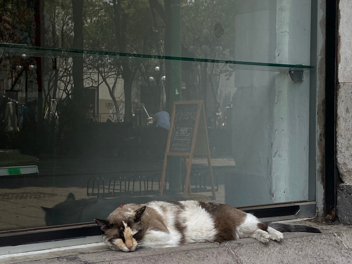 ATINARLE SIN ESFUERZO Y&nbsp;SUFRIR