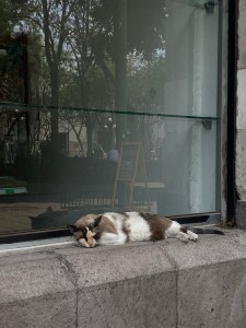 ATINARLE SIN ESFUERZO Y&nbsp;SUFRIR