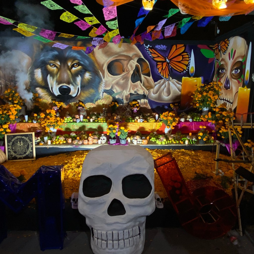 ESPECIALES DE HORROR | PERRO&nbsp;MUERTO