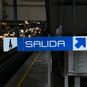 ESPECIALES DE HORROR |&nbsp;HORROR