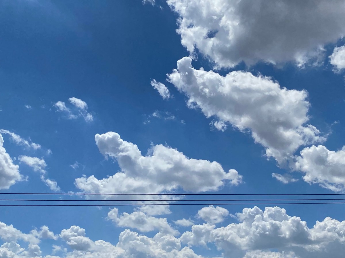 LA CIUDAD EN SUS&nbsp;DECIRES