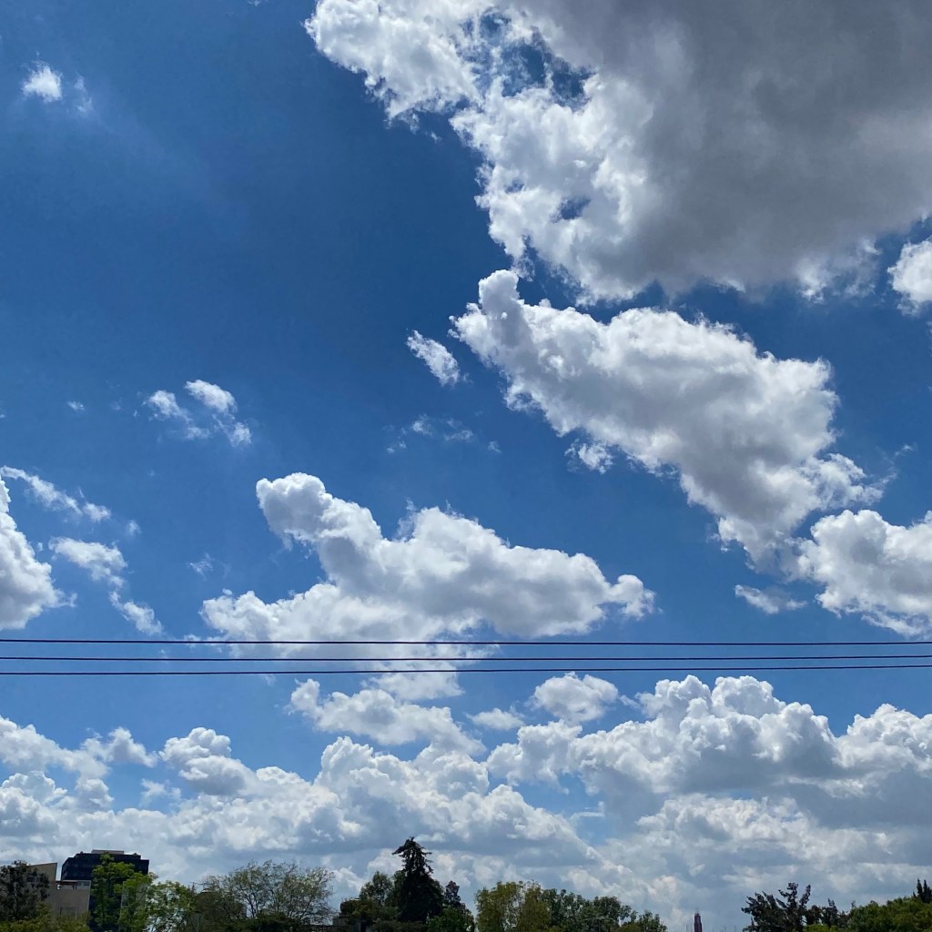 LA CIUDAD EN SUS&nbsp;DECIRES