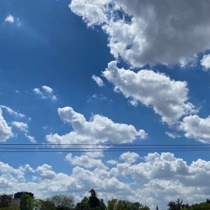 LA CIUDAD EN SUS DECIRES