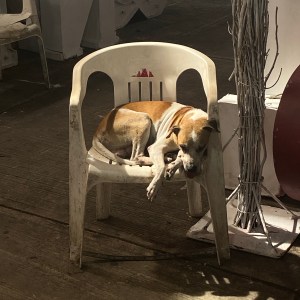 FILOSOFÍAS ESQUINERAS | FILOSOFÍA BASURA