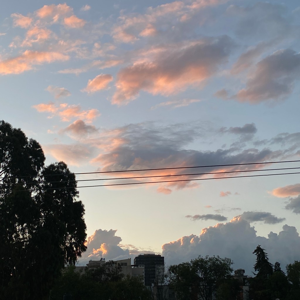 MOMENTO INICIÁTICO DE UN&nbsp;VAGO