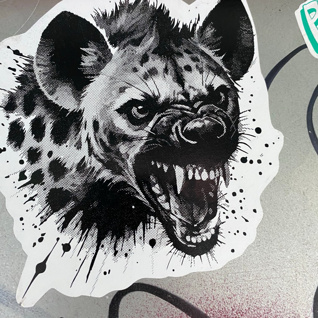 EL SEÑOR DEL GESTO&nbsp;ADUSTO