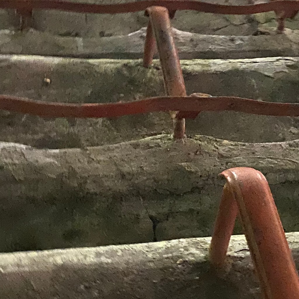 ROCAREINADO, AL FIN, EN LA PLAZA DE ANIVERSARIO