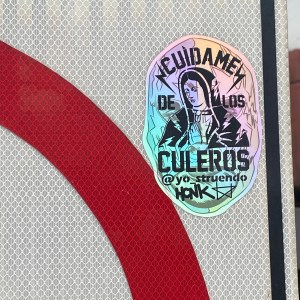 RASTREAR UNA INTRUSA Y BANDIDA AÑORANZA