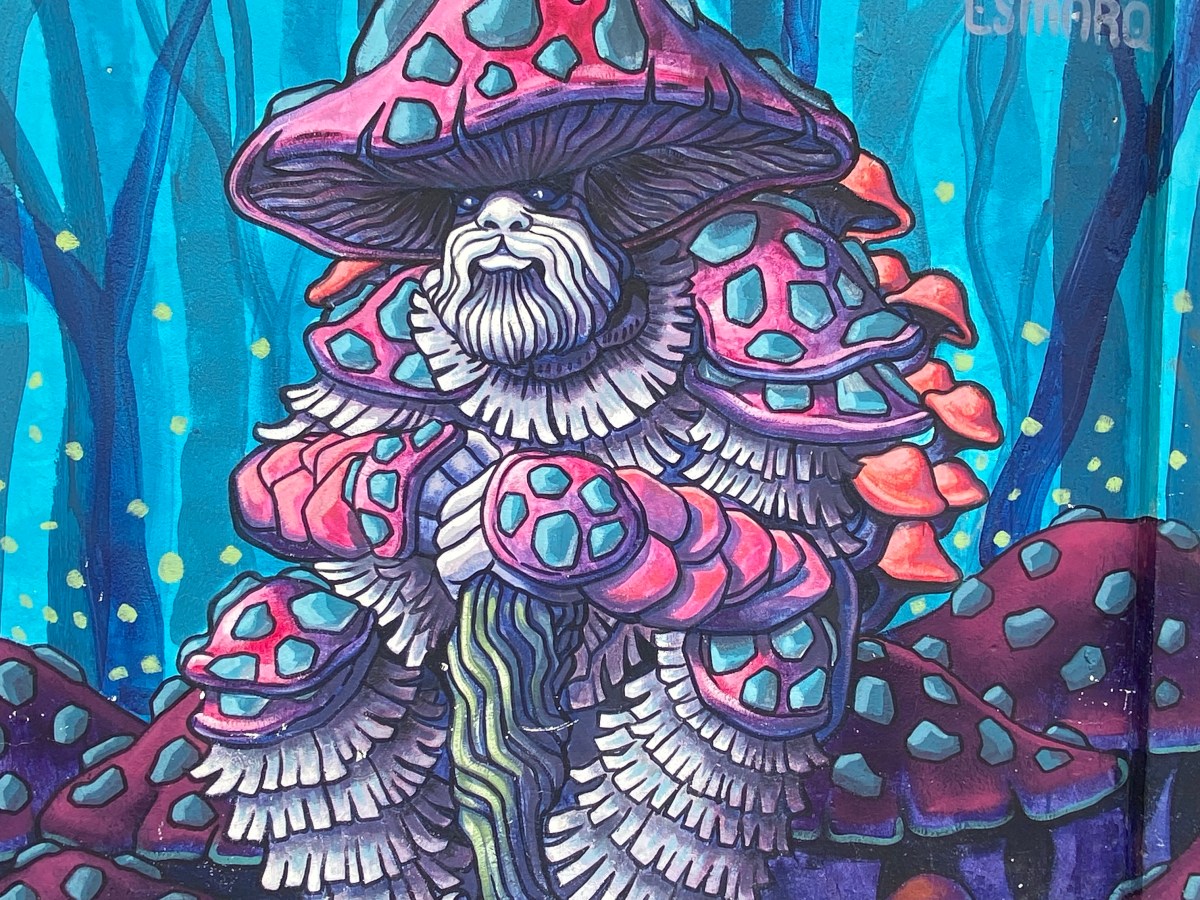 DIOSES EN EL&nbsp;ASFALTO