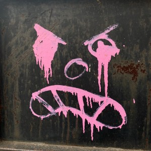 GALERÍA | INTRUSA SENSACIÓN