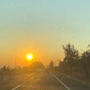 FILOSOFÍAS ESQUINERAS | SOBRE EL INTRÉPIDO APRENDIZAJE