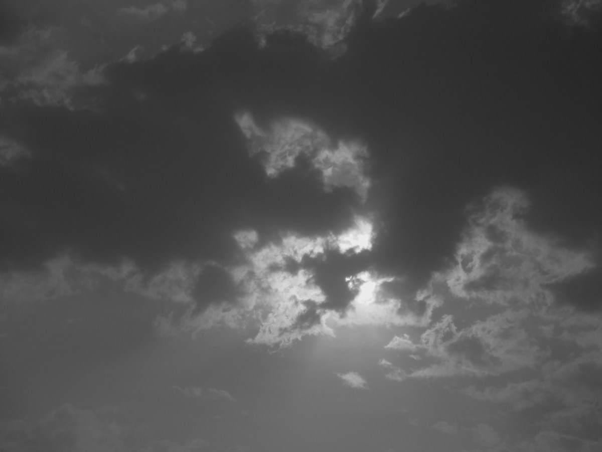 GALERÍA | ATARANTADO EN EL CAMPO DE LOS&nbsp;HONGOS