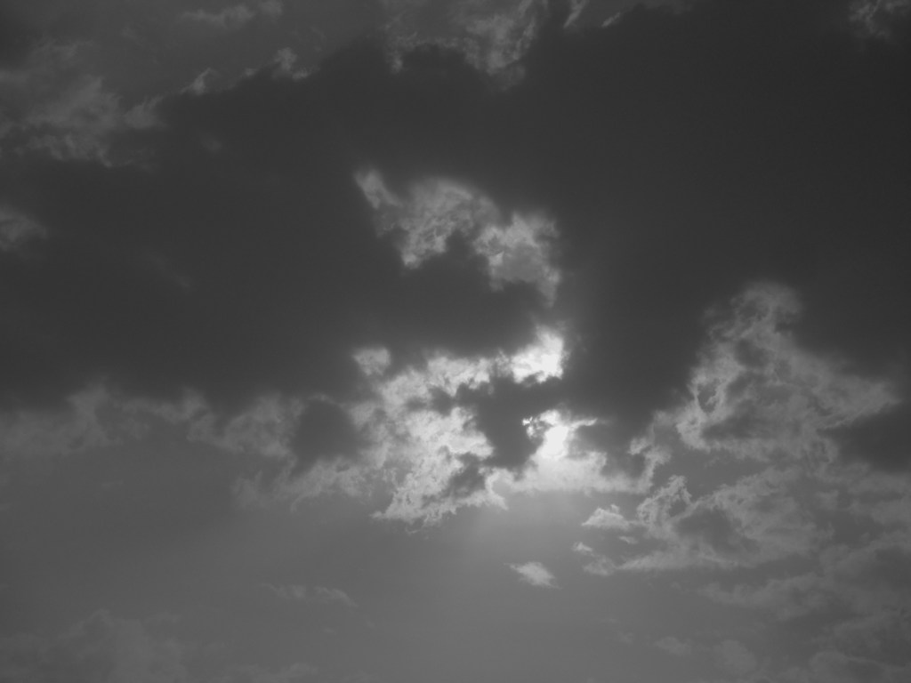 GALERÍA | ATARANTADO EN EL CAMPO DE LOS HONGOS