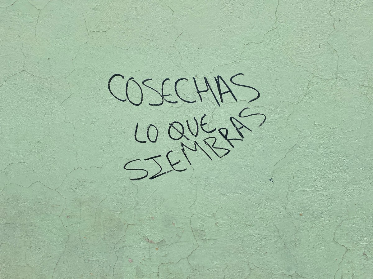 GALERÍA | GESTOS DE LA&nbsp;MEMORIA