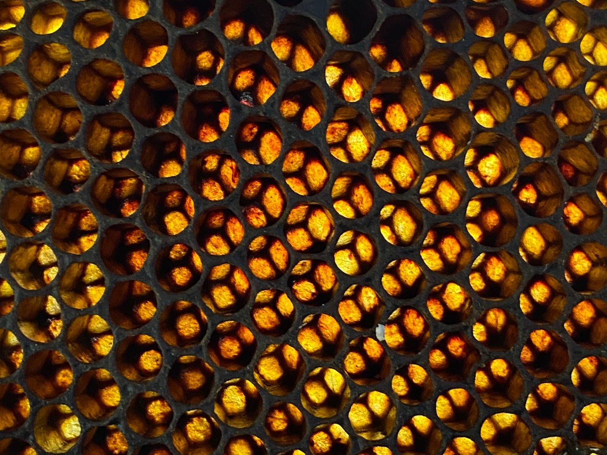 GALERÍA | REFLEJOS DE LA&nbsp;HUMANIDAD