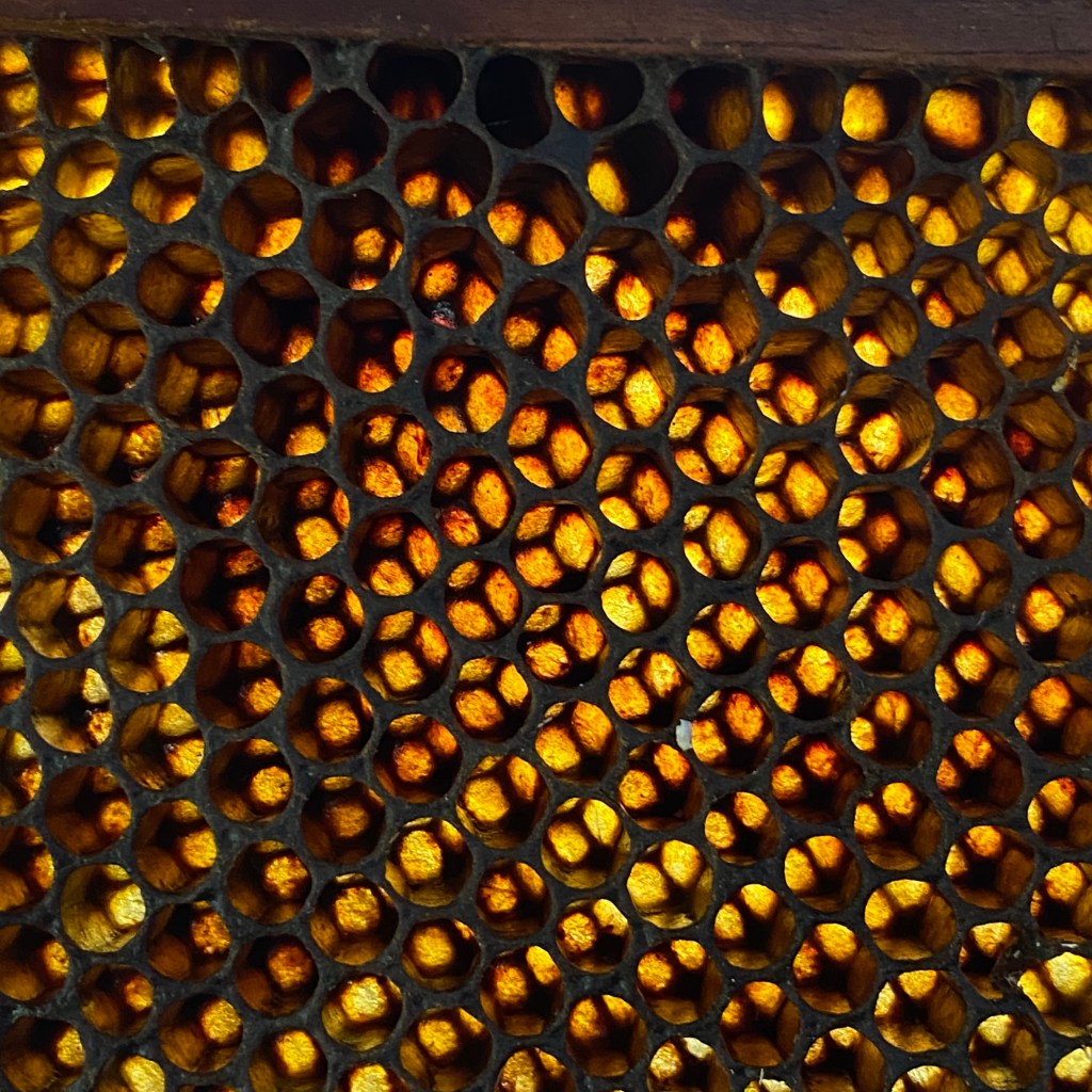 GALERÍA | REFLEJOS DE LA HUMANIDAD