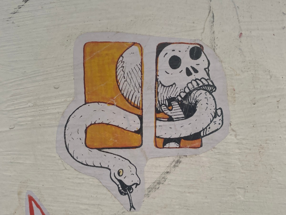 GALERÍA | INSTANTE&nbsp;INSOLENTE