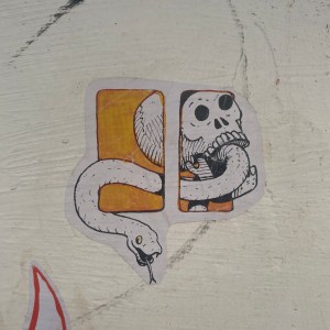 GALERÍA | INSTANTE INSOLENTE