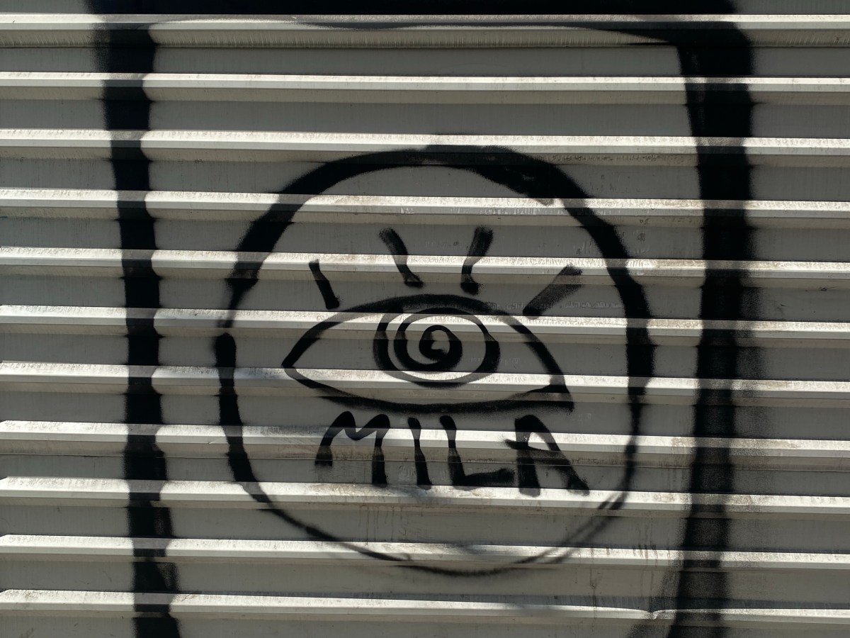 GALERÍA | EMBESTIDAS&nbsp;CALLEJERAS