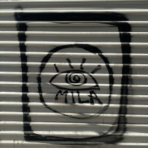 GALERÍA | EMBESTIDAS CALLEJERAS