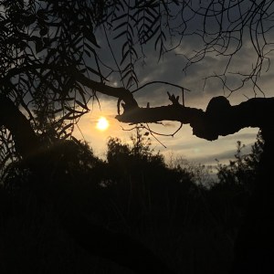 RELATO | TRES SOMBRAS BAJO EL HUMO