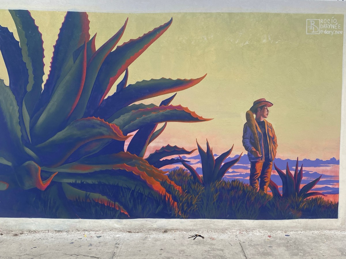 GALERÍA | MENTE&nbsp;APAISADA