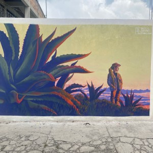 GALERÍA | MENTE APAISADA