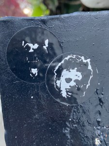 ESPECIALES DE HORROR | OTRA VEZ,&nbsp;NO