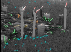 ESPECIALES DE HORROR | INSOPORTABLE&nbsp;AROMA