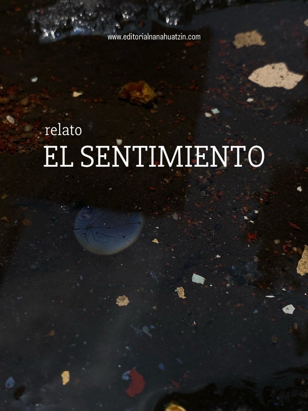 RELATO | EL&nbsp;SENTIMIENTO